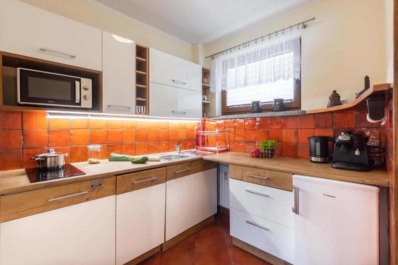 Apartament Cztery Tulipany זקופאנה מראה חיצוני תמונה
